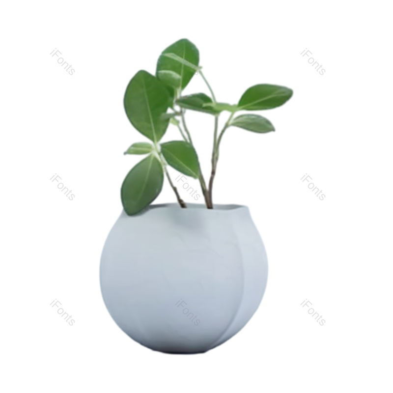 叶子图片,摄影元素,白色背景PNG,简单免抠素材